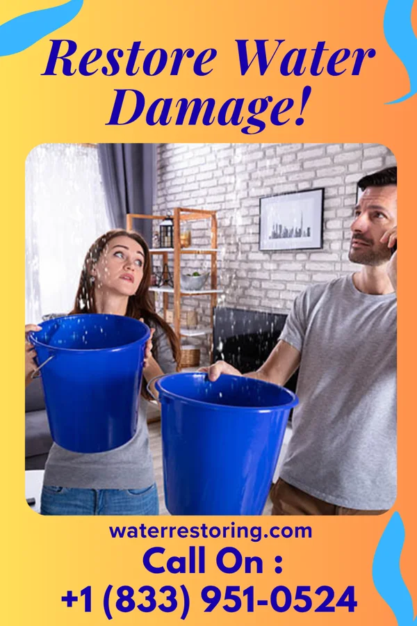 water restoration Ultimate Mitigation Crew Collinsville